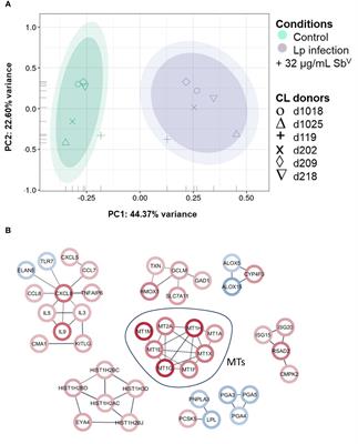 Macrophage metallothioneins participate in the antileishmanial activity of antimonials